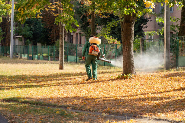 Best Wildlife Control Services  in Pamplico, SC